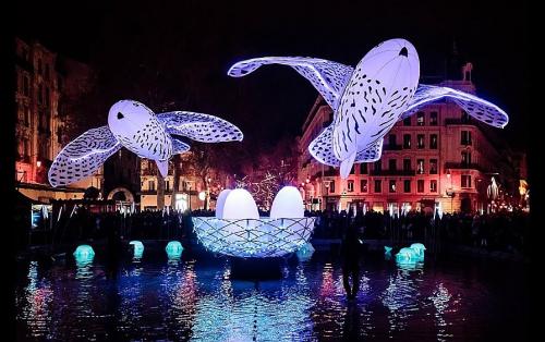 staro riga 11