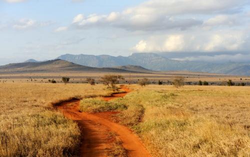 savannah landscape national park kenya africa 167946 107