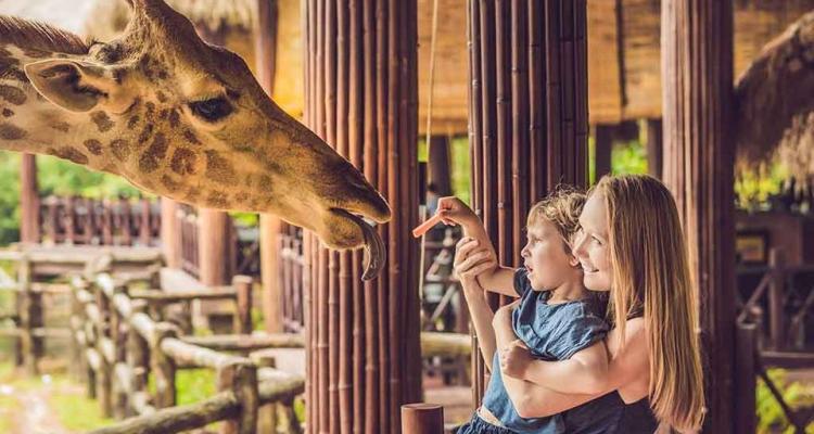 ryga zoo