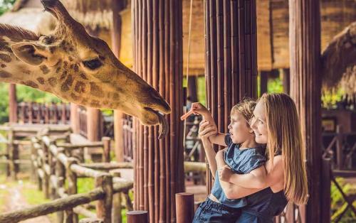 ryga zoo