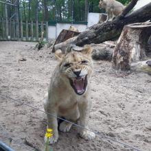 ryga zoo 2