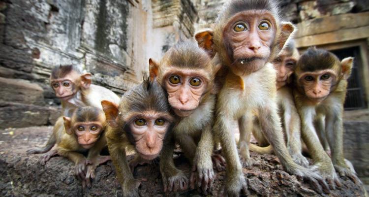 ryga zoo 1