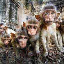 ryga zoo 1