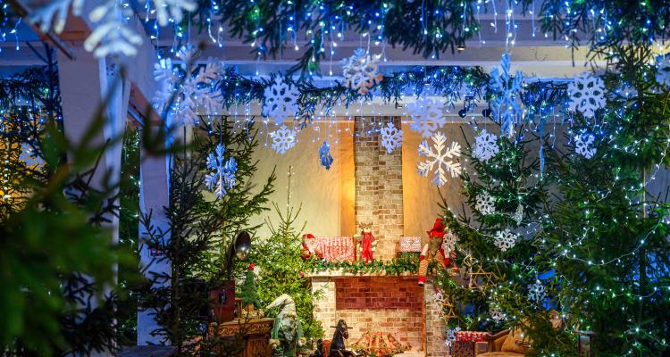 Pakruojo dvaro lankymas su 700lt